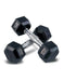 Slovic Dumbbells Set for Home Gym | 2.5 kg Dumbbell Set of 2